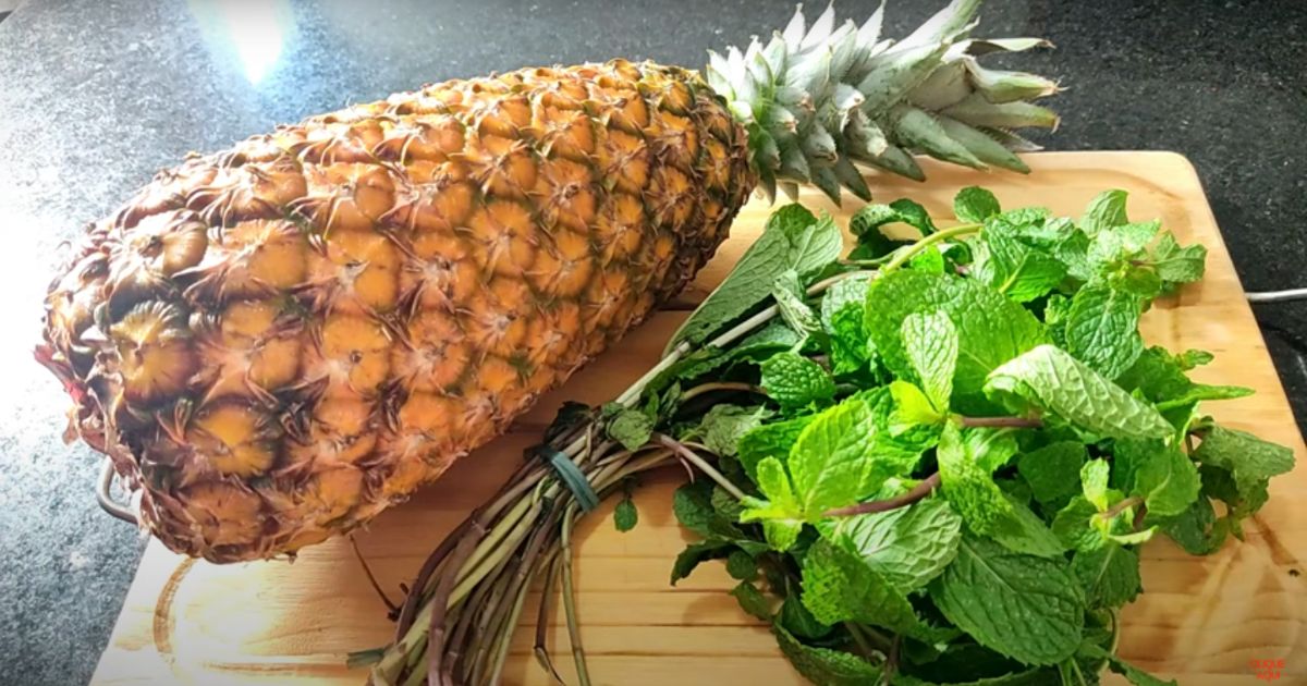 Suco de Abacaxi com Hortelã Super Refrescante