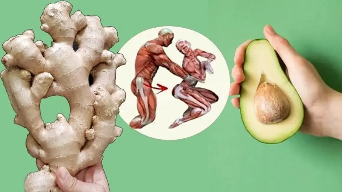 Receita de Abacate com Gengibre: Uma Deliciosa Combinação Para Sua Saúde