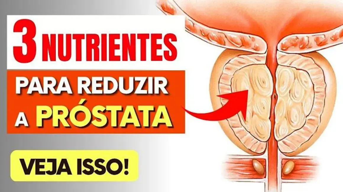 Receita de Nutrientes para Reduzir a Próstata: 3 Ingredientes Poderosos e Saudáveis