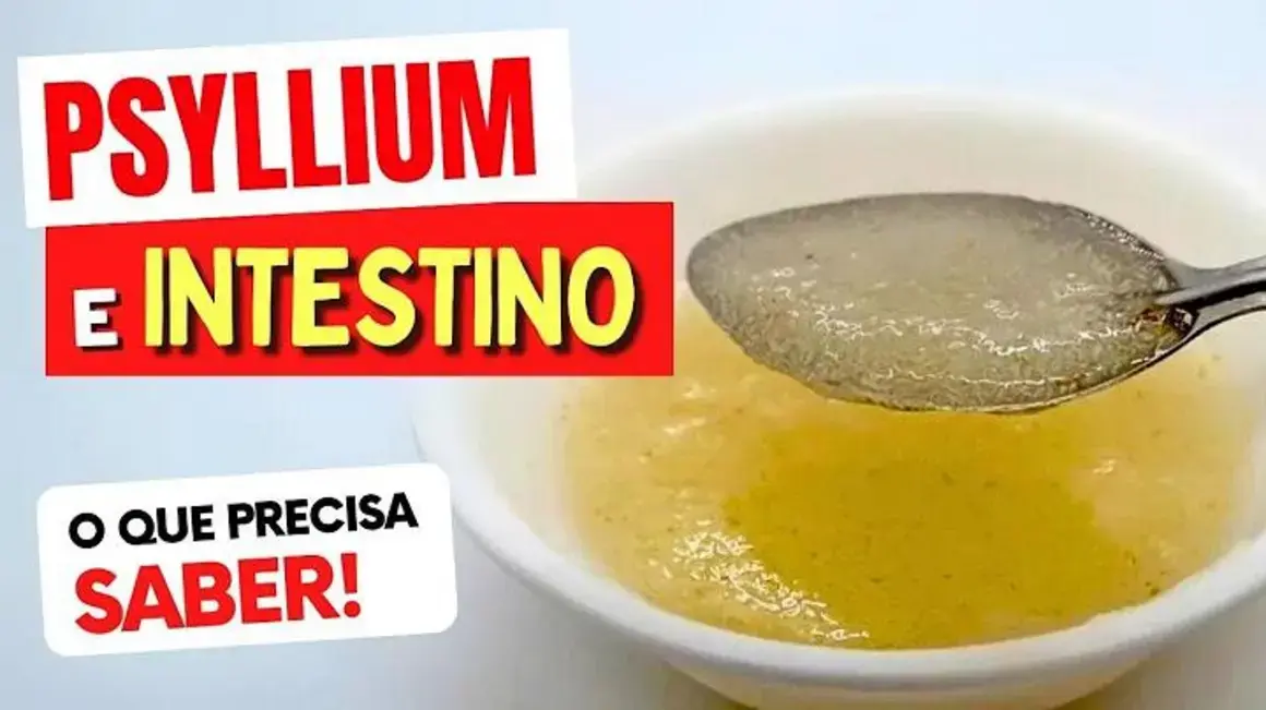 Receita de Psyllium: Como Usar para Melhorar Meu Intestino de Forma Prática