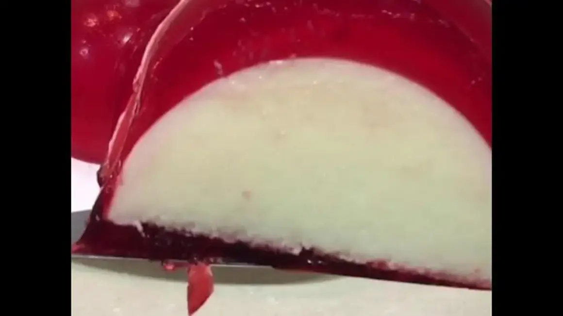 Receita de Sobremesa Cremosa de Natal: Uma Delícia Rápida e Fácil para Encantar