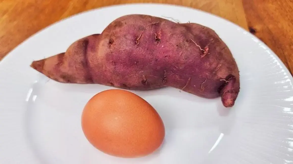 Receita de Batata Doce com Ovo Cru: Uma Mistura Deliciosa que Vicia