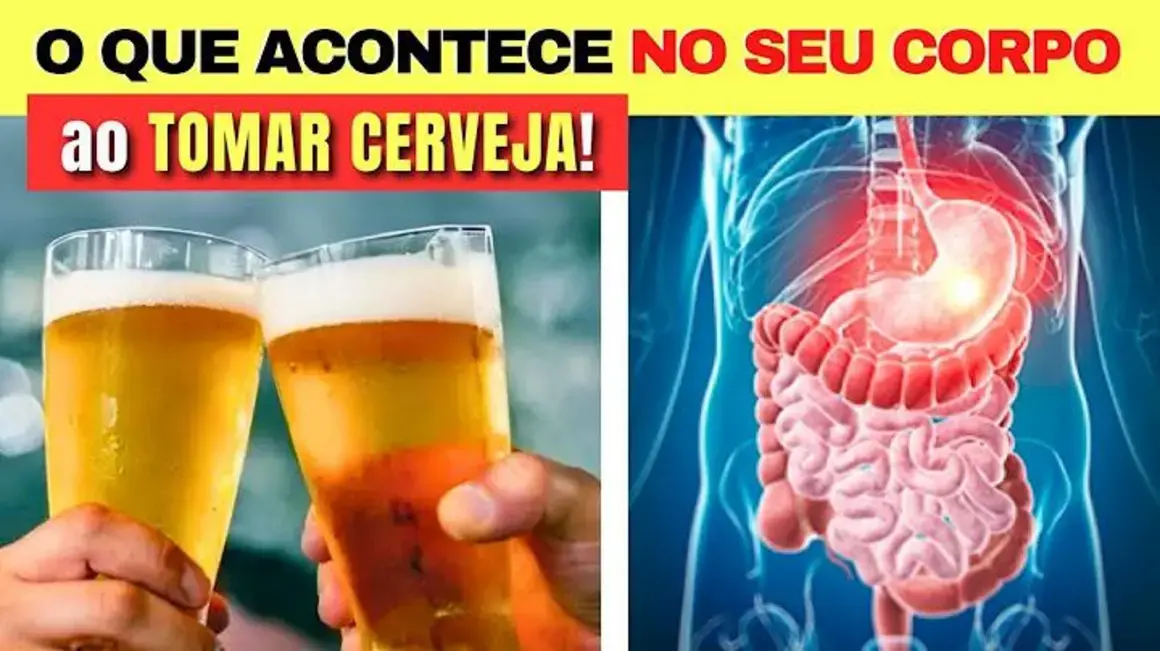 Receita de Cerveja: O Que Acontece Com Meu Corpo Ao Consumir Bebidas Alcoólicas