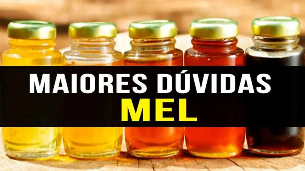 Receita de Mel: Como ele transforma meu corpo e traz benefícios à saúde