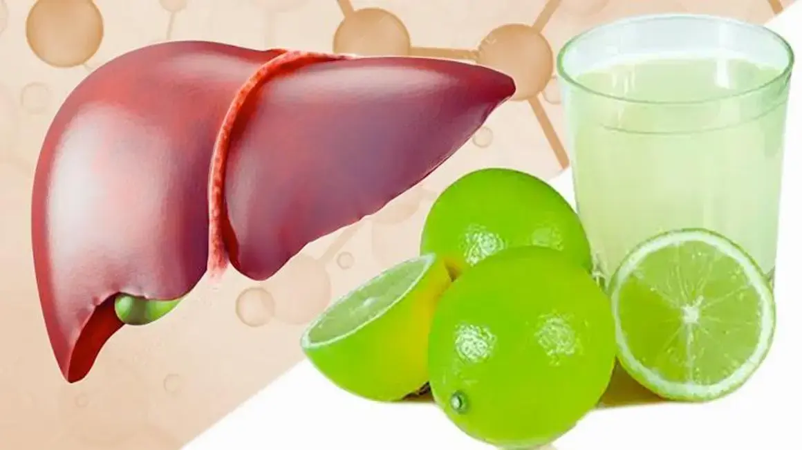 Receita de Molho de Limão: Descubra como preparar essa delícia de forma segura!