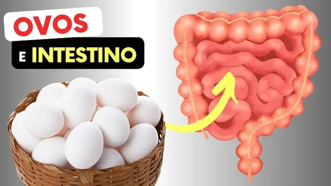 Receita de Ovos no Intestino: Como Preparar Esse Prato Delicioso e Nutritivo