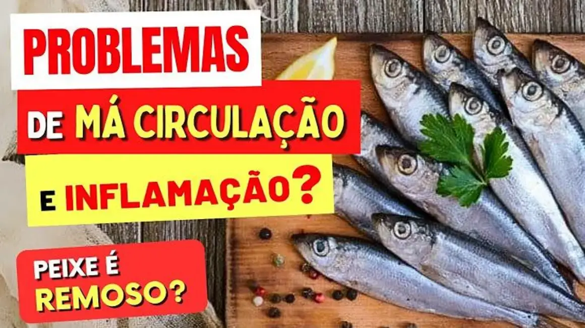 Receita de Peixe para Melhorar a Circulação e Reduzir Inflamações Vasculares