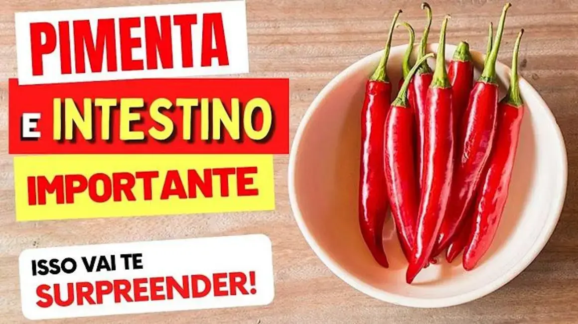 Receita de Pimenta: O que Aprendi sobre Seus Benefícios para o Intestino