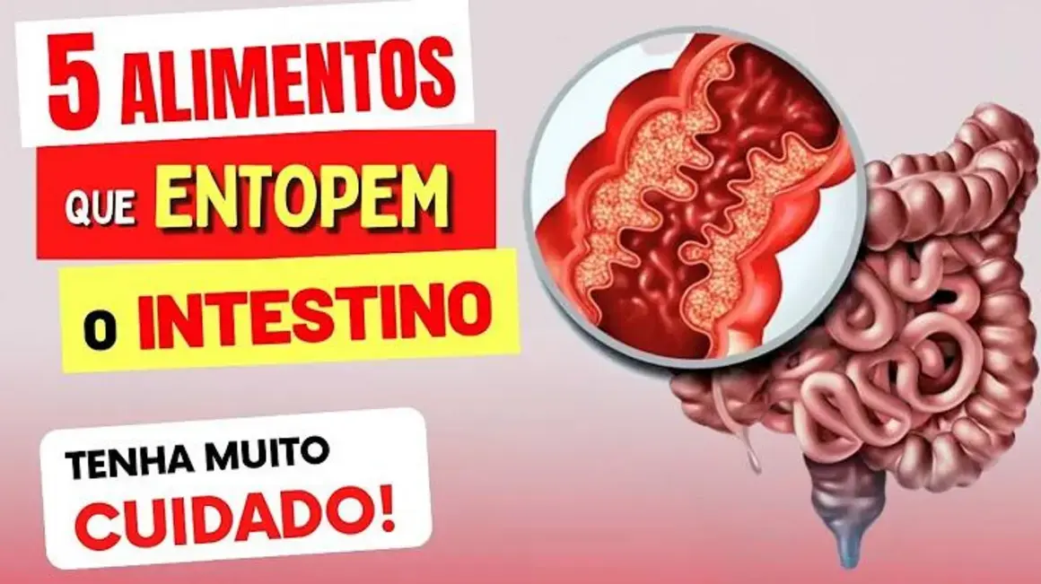 Receita de 5 Alimentos Que Entopem O Intestino: Cuidado Com a Sua Saúde Digestiva!