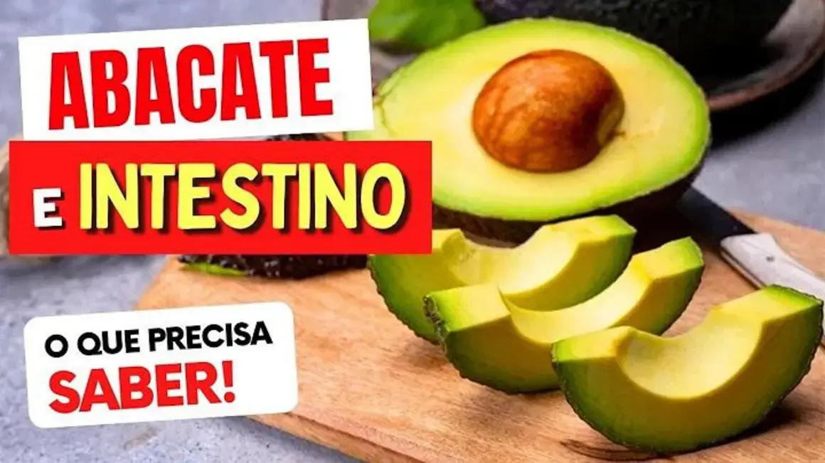 Receita de Abacate: Como Preparar Pratos Deliciosos para um Intestino Saudável