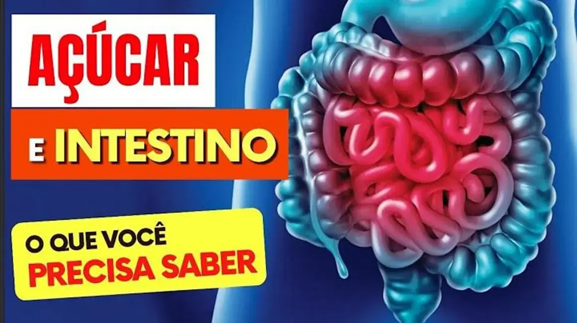 Receita de Açúcar no Intestino: Como Melhores Opções podem Ajudar na Digestão