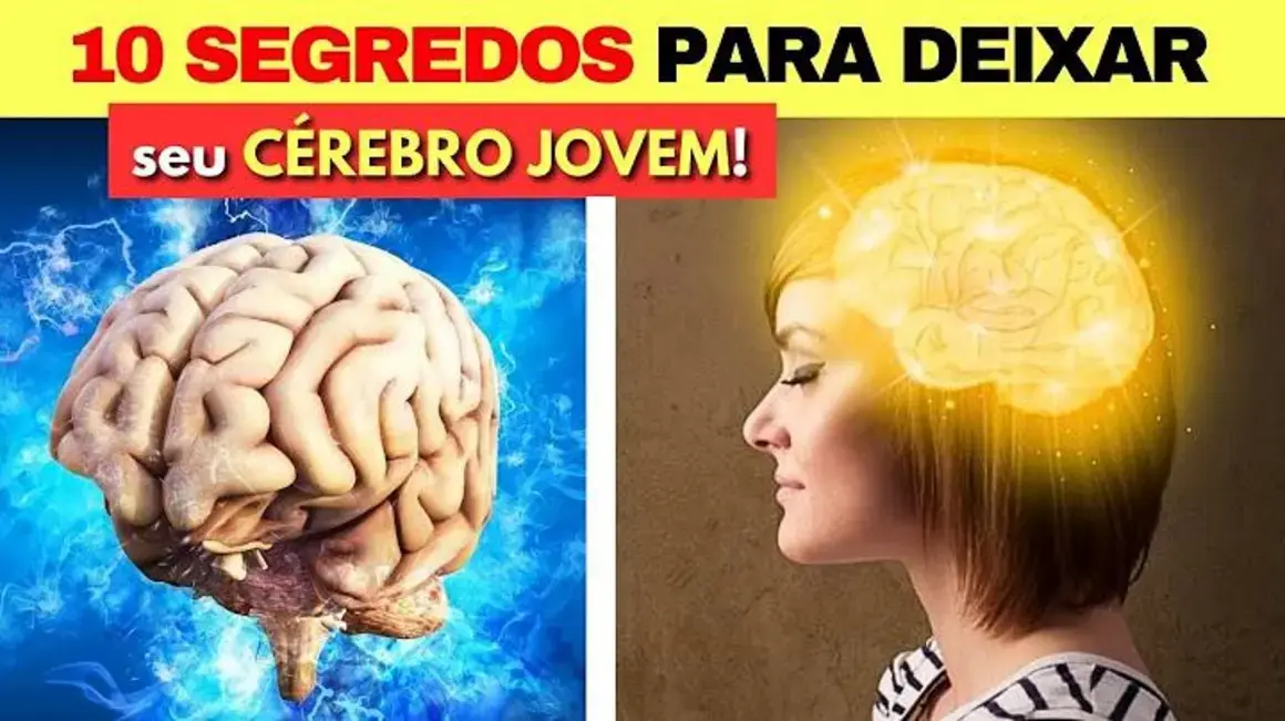 Receita de Alimentos para Cérebro: 10 Segredos para Mantê-lo Jovem e Afiado