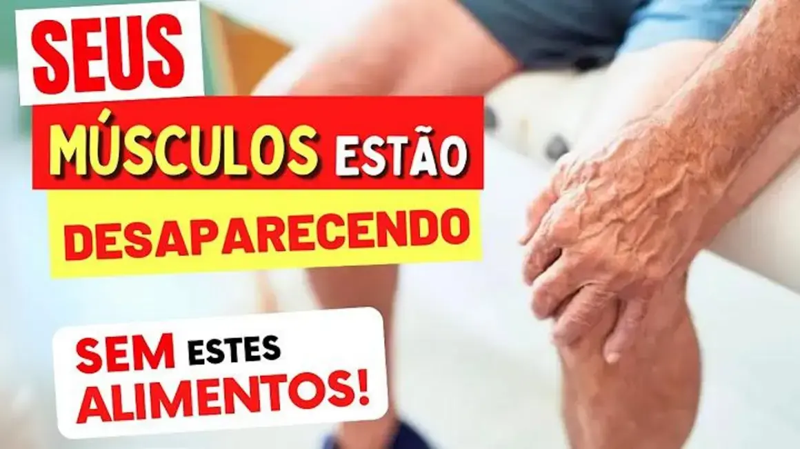 Receita de Alimentos Ricos em Proteína para Evitar a Perda Muscular em Adultos