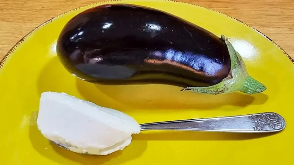 Receita de Almoço Incrível: Emagreço, Barato e Saudável para o Meu Dia a Dia