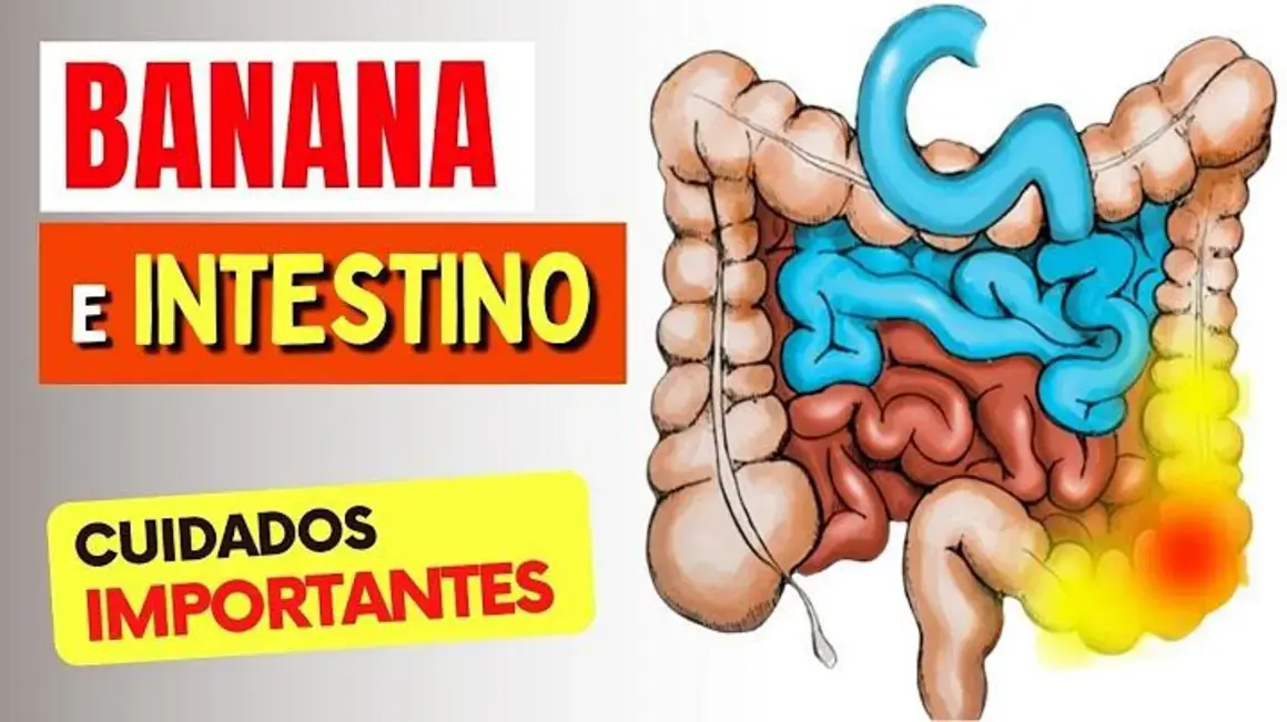 Receita de Banana para o Intestino: Como Evitar Prisão de Ventre e Gases
