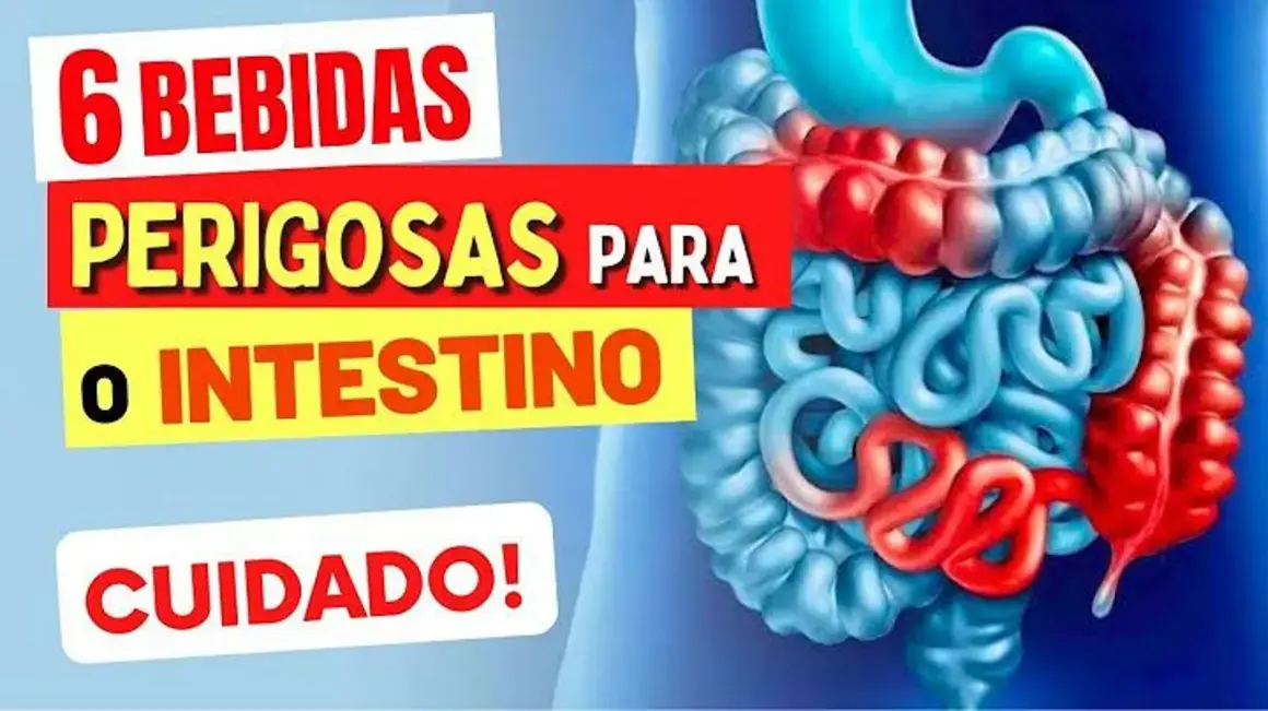 Receita de Bebidas Perigosas para o Intestino: Cuidado com o que você ingere