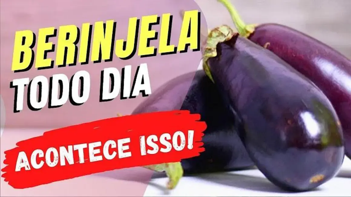 Receita de Berinjela Todo Dia: Descubra Como Ela Pode Transformar Sua Alimentação!