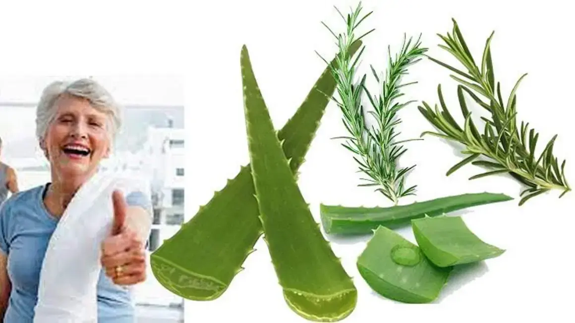 Receita de BOMBA Natural: Aprenda a fazer uma bebida que cura e fortalece