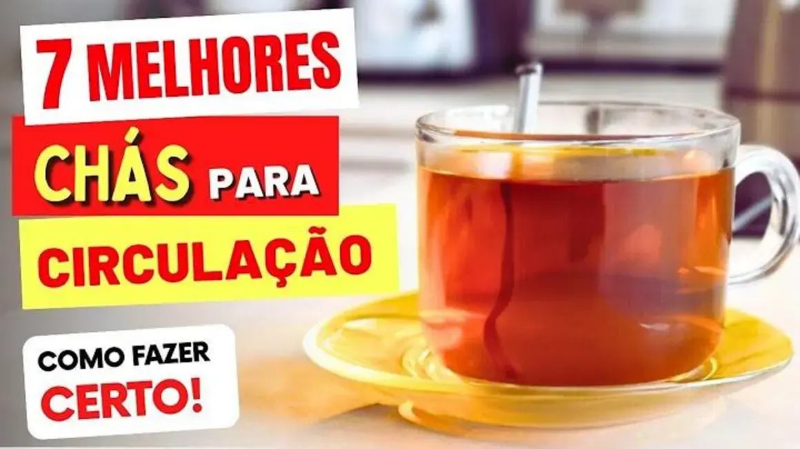 Receita de Chás para Circulação: Melhores Opções e Como Preparar Corretamente