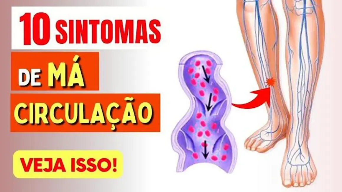 Receita de Circulação: 10 Sintomas Que Indicam Que Meu Sangue Não Está Fluindo Bem