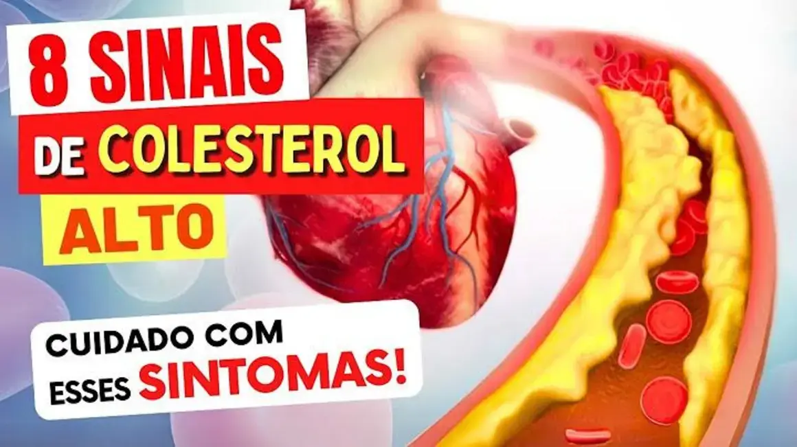 Receita de Como Identificar os Sinais de Colesterol Alto e Melhorar Minha Saúde