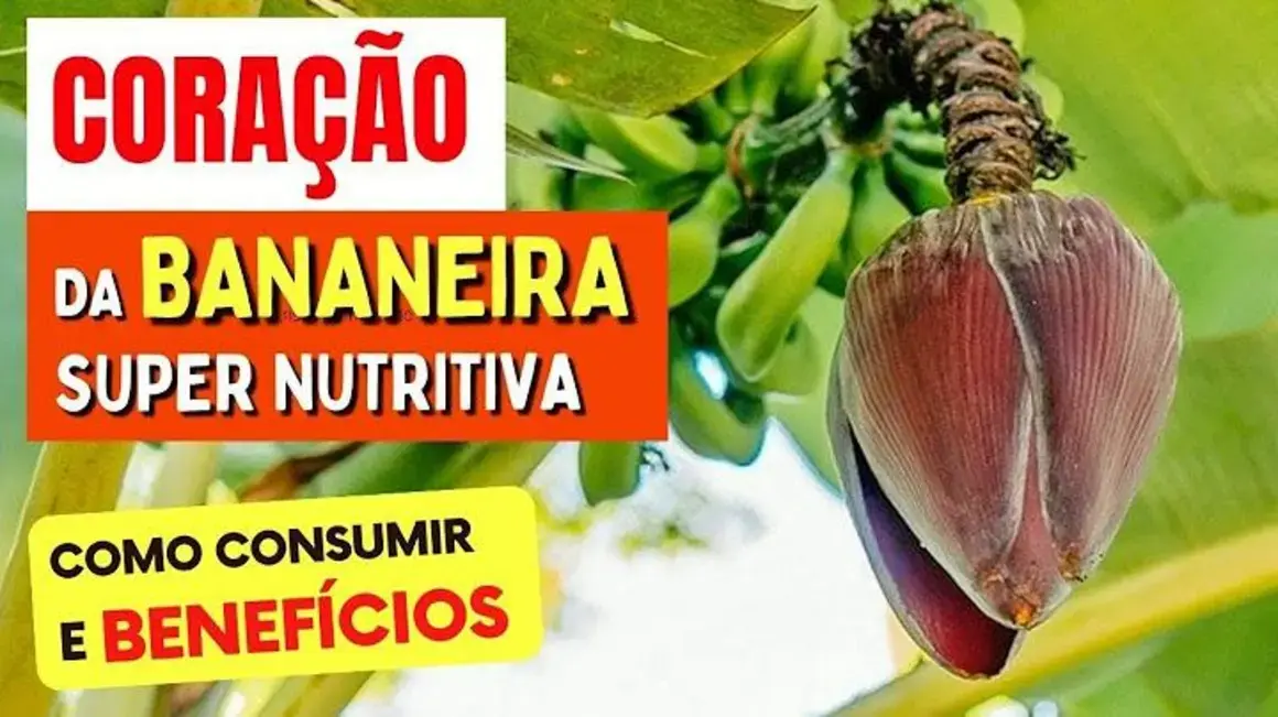 Receita de Coração da Bananeira: Aprenda a Usar e Aproveitar Seus Benefícios