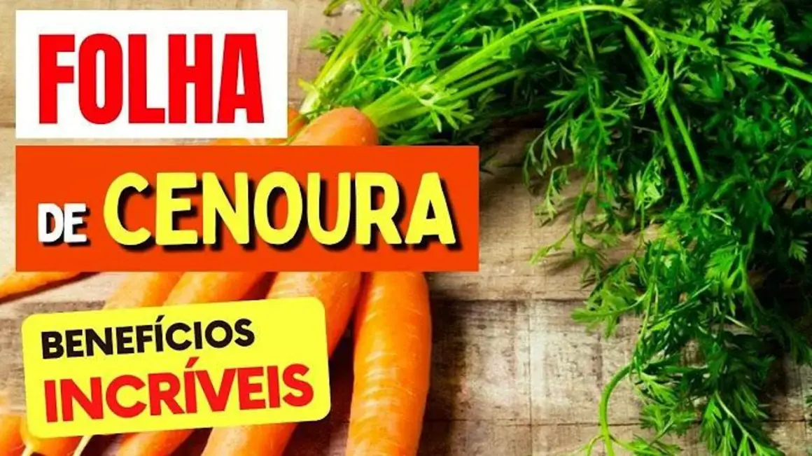 Receita de Folhas de Cenoura: Aprenda a aproveitar essa parte nutritiva e deliciosa!