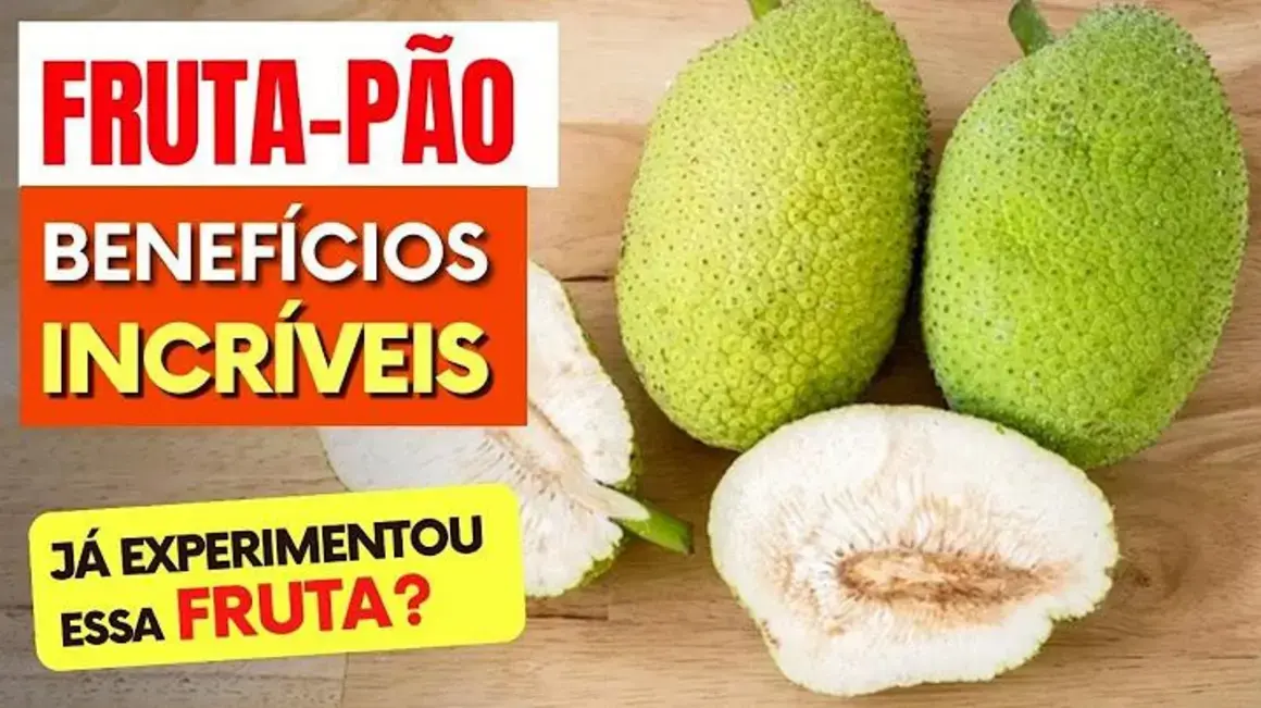 Receita de Fruta Pão: Aprenda a Preparar Delícias Nutritivas e Saborosas com Ela