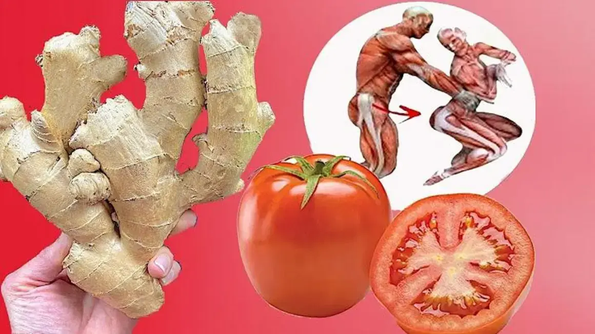 Receita de Gengibre e Tomate: Uma Combinação Energizante para o Seu Dia