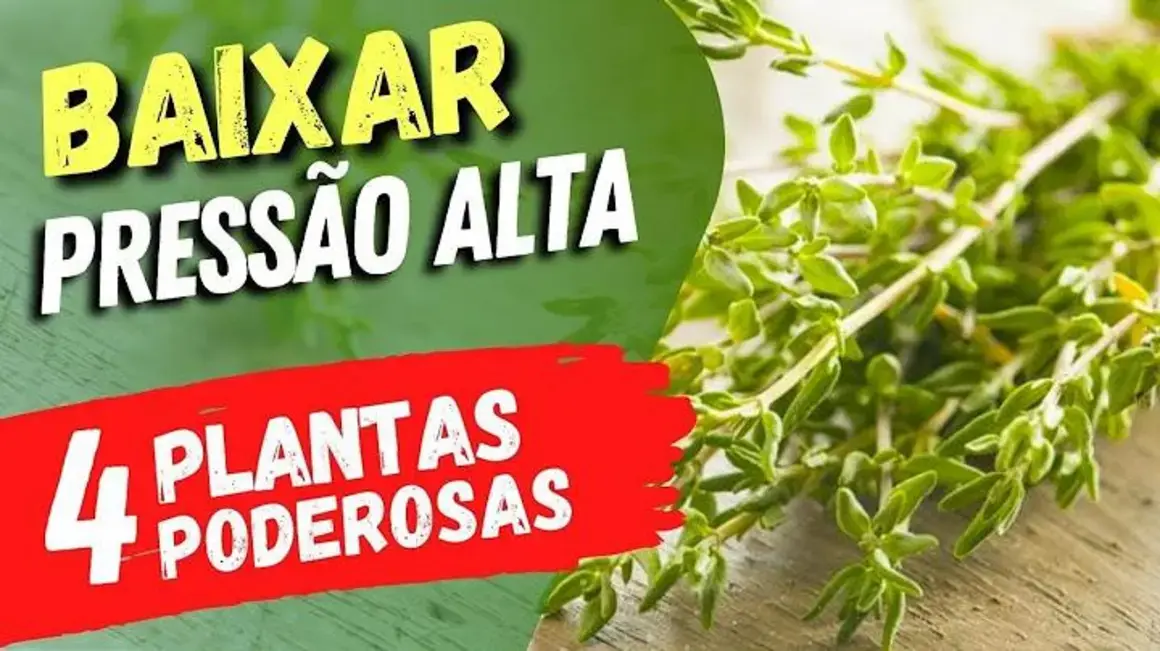 Receita de Plantas Poderosas que Ajudam a Baixar a Pressão Alta e Melhorar sua Saúde